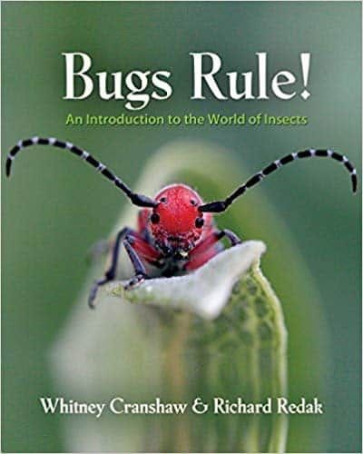 Bugs Rule! An Introduction to the World of Insects – PDF ebook
