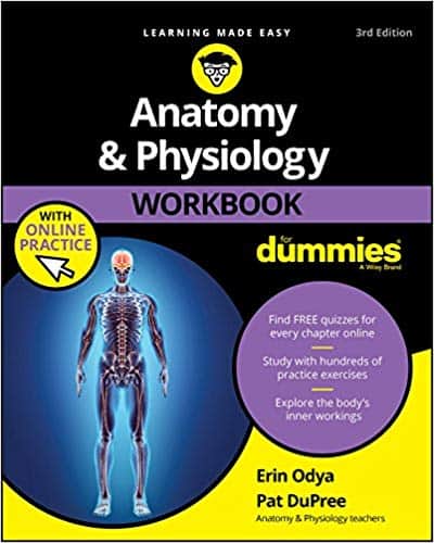 Anatomy & Physiology Workbook For Dummies with Online Practice (3rd Edition) Free – PDF ebook