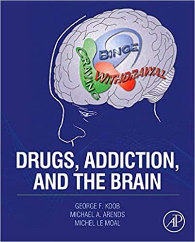 Drugs, Addiction, and the Brain  Free – PDF ebook