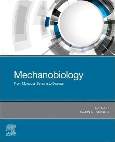 Mechanobiology From Molecular Sensing To Disease – PDF ebook