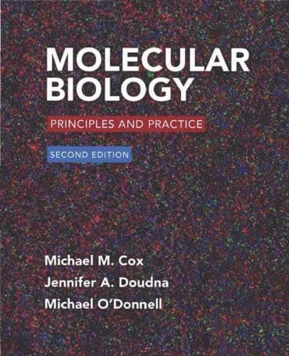 Molecular Biology Principles And Practice 2Nd Edition – PDF ebook