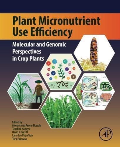 Plant Micronutrient Use Efficiency Molecular And Genomic Perspectives In Crop Plants – PDF ebook