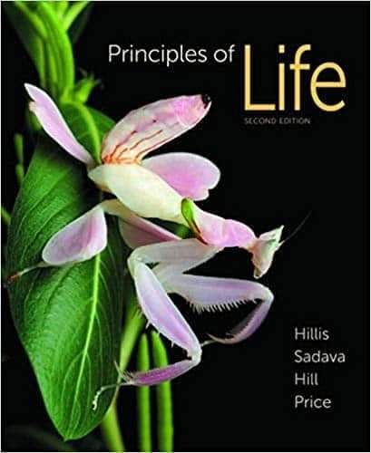 Principles of Life (2nd Edition) – PDF ebook
