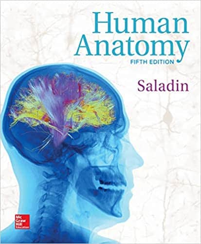 Human Anatomy (5th Edition)  Kenneth Saladin – PDF ebook