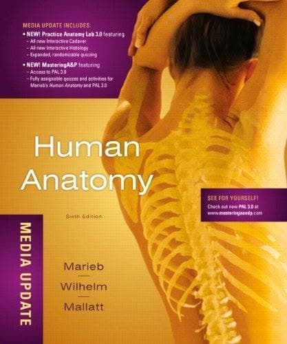 Human Anatomy Media Update 6Th Edition – PDF ebook