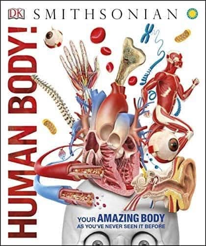 Knowledge Encyclopedia - Human Body! – PDF ebook