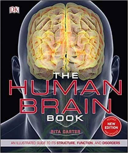 The Human Brain Book: An Illustrated Guide to its Structure, Function, and Disorders (3e) – PDF ebook
