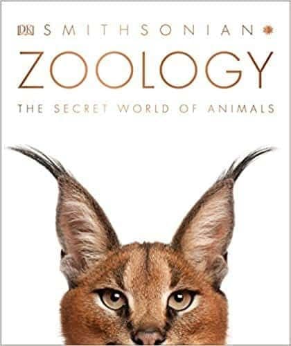 Zoology: The Secret World of Animals – PDF ebook