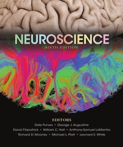 Neuroscience 6Th Edition – PDF ebook