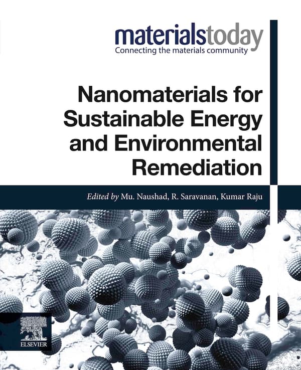 Nanomaterials for Sustainable Energy and Environmental Remediation - eBook