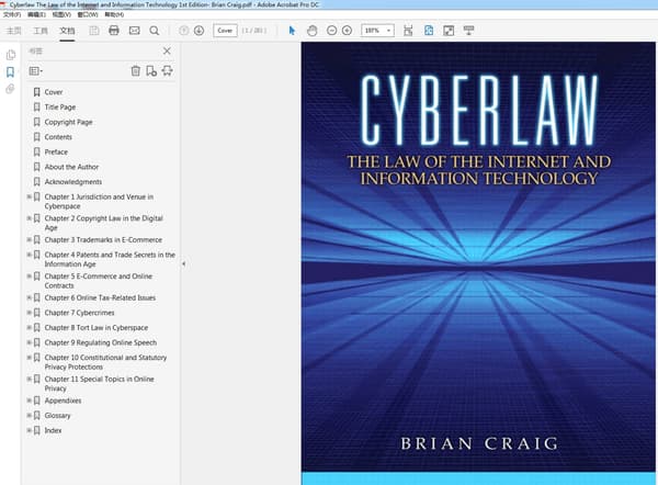 Cyberlaw The Law of the Internet and Information Technology – PDF ebook