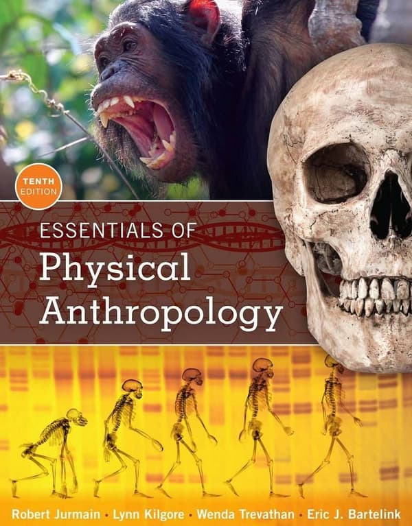 Essentials of Physical Anthropology 10e 10th Edition by Robert Jurmain – PDF ebook