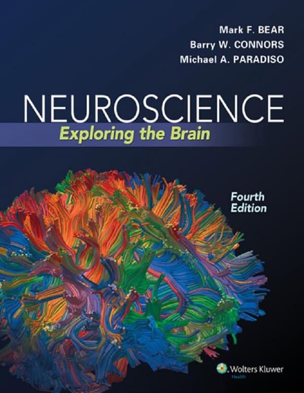 Neuroscience Exploring the Brain 4e 4th Edition – PDF ebook