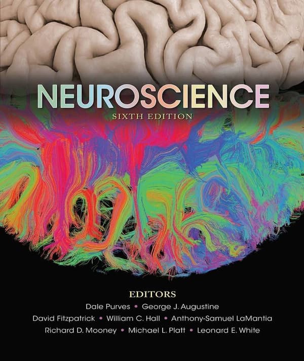 Neuroscience 6e 6th Edition – PDF ebook