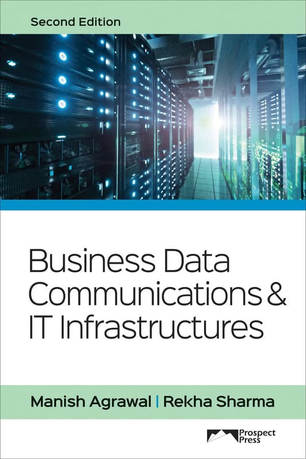 Business Data Communications and IT Infrastructures 2nd Edition