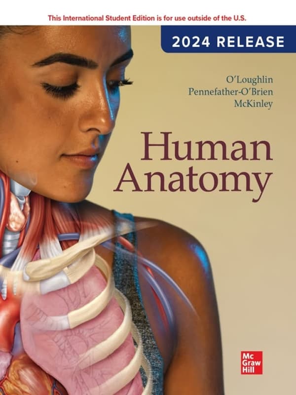 human anatomy 2024