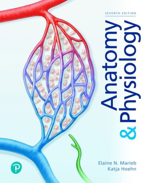 anatomy p 7e