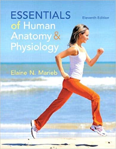 Essentials of Human Anatomy & Physiology (11th Edition)- eBook