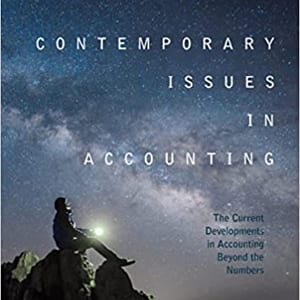 Contemporary Issues in Accounting: The Current Developments in Accounting Beyond the Numbers - eBook