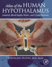 Atlas of the Human Hypothalamus: Anatomy, Blood Supply, Myelo-, and Cytoarchitecture – PDF ebook