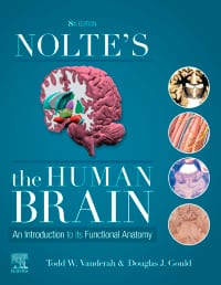 Nolte’s The Human Brain: An Introduction to its Functional Anatomy 8th Edition – PDF ebook