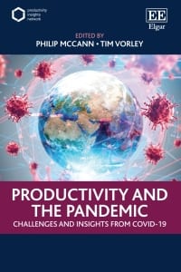 Productivity and the Pandemic 1st Edition – PDF ebook