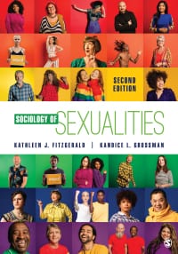 Sociology of Sexualities 2nd Edition – PDF ebook