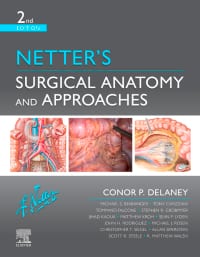 Netter’s Surgical Anatomy and Approaches 2nd Edition – PDF ebook