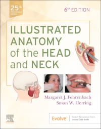 Illustrated Anatomy of the Head and Neck 6th Edition – PDF ebook
