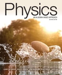 PHYSICS: AN ALGEBRA-BASED APPROACH 
2nd Edition – PDF ebook
