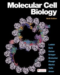 Molecular Cell Biology 9th Edition – PDF ebook