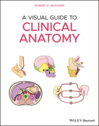 A Visual Guide to Clinical Anatomy 1st Edition – PDF ebook