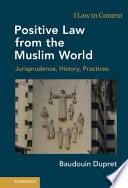 Positive Law from the Muslim World: Jurisprudence, History, Practices – PDF ebook