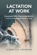 Lactation at Work: Expressed Milk, Expressing Beliefs, and the Expressive Value of Law – PDF ebook