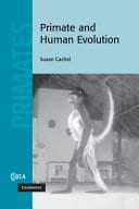 Primate and Human Evolution – PDF ebook