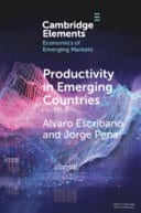 Productivity in Emerging Countries: Methodology and Firm-Level Analysis based on International Enterprise Business Surveys – PDF ebook