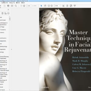 Master Techniques in Facial Rejuvenation 2nd Edition – PDF ebook