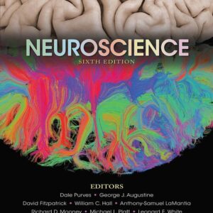 Neuroscience 6e 6th Edition – PDF ebook